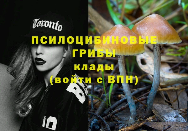 сатива Володарск
