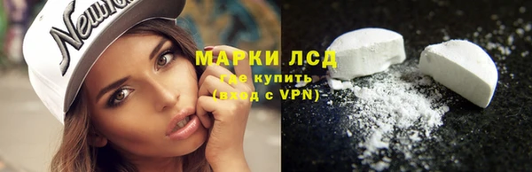 сатива Володарск