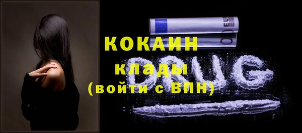 сатива Володарск