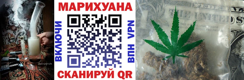 где найти наркотики  Людиново  Шишки марихуана ГИДРОПОН 